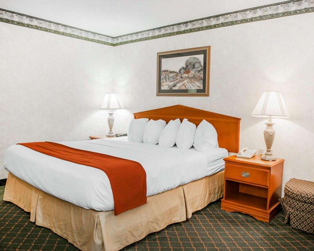 Quality Inn & Suites Brownsburg - Indianapolis West Szoba fotó